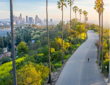 Road View